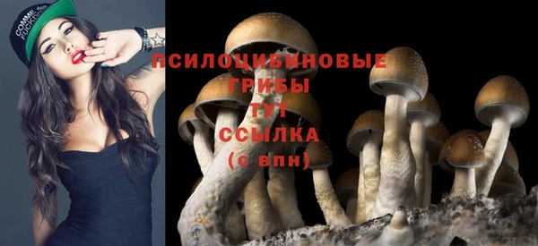 ALPHA-PVP Алексин